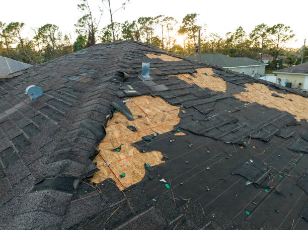 Professional Roofing Service in Lake Holiday, IN