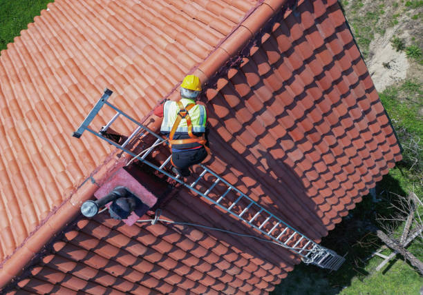 Best Solar Panel Roofing Installation  in Lake Holiday, IN