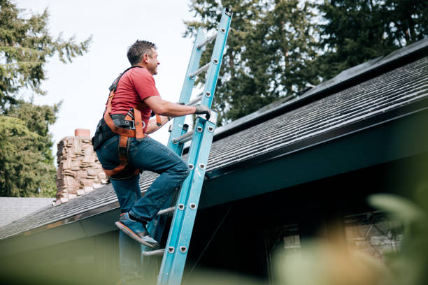 Best Metal Roofing Installation  in Lake Holiday, IN