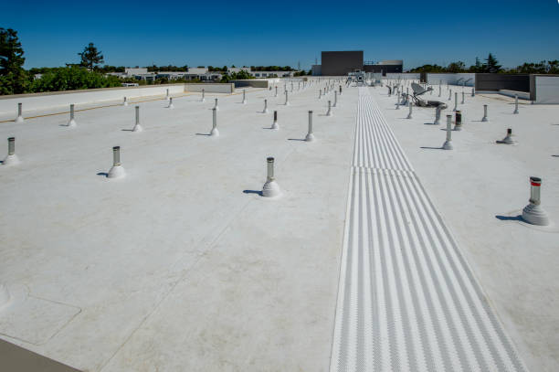 Best Commercial Roofing Services  in Lake Holiday, IN